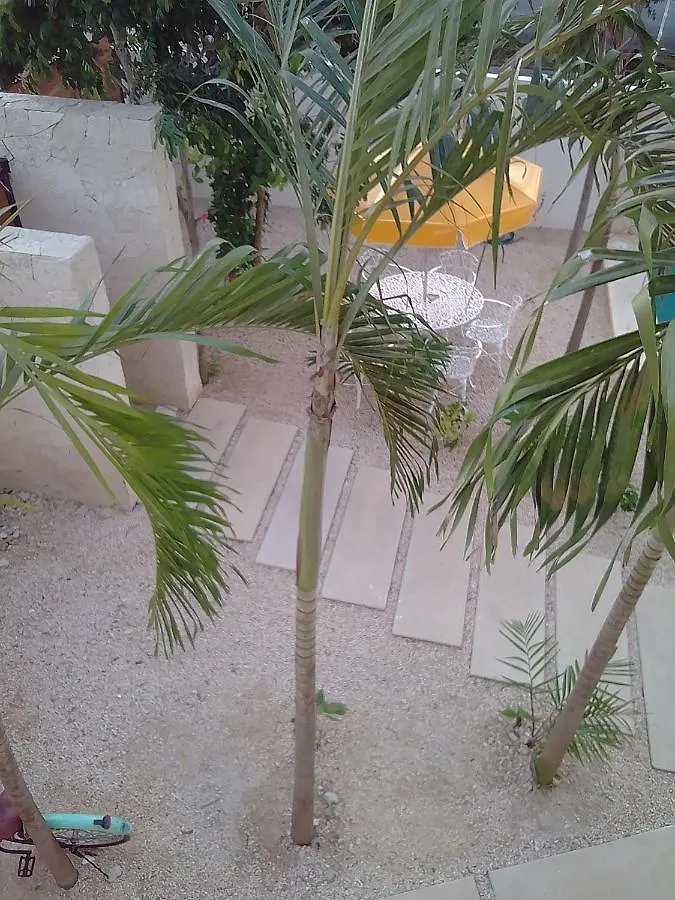 Posada Tumben Ka'A Tulum